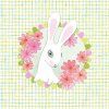 DJ06596 1 RVB