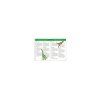 2058 2 djeco obrazkove puzzle dinosauri