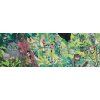 DJ07644 C RVB (1)