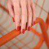 main poppy red carre copie