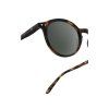 d sun tortoise sunglasses (1)