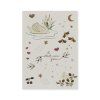KS100532 TATTOOS SWAN Extra 1