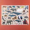 Life Puzzle (1)